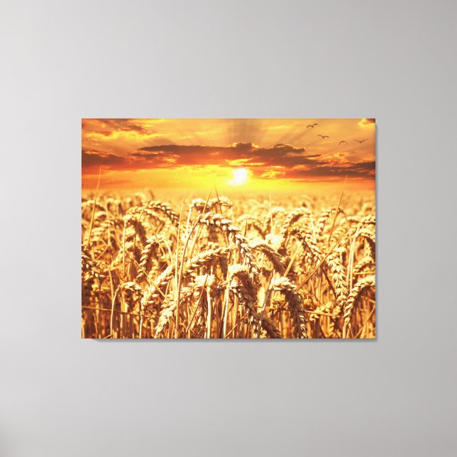 Sunset and Wheat Field Leinwanddruck (Vorderseite)