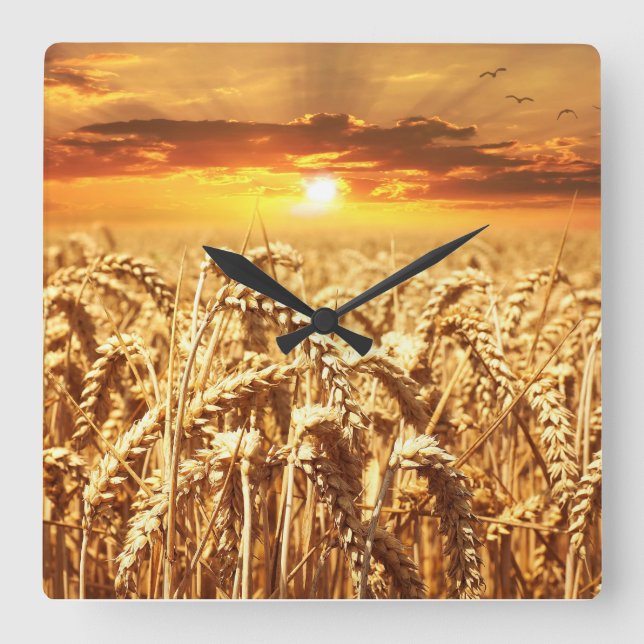 Sunset and Wheat Field Quadratische Wanduhr (Vorderseite)