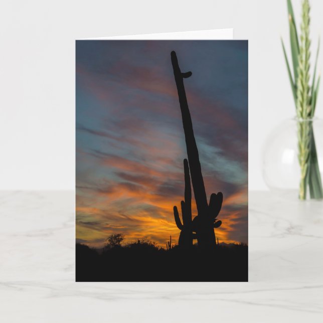 Sunset Arizona Grußkarte Saguaros Freunde Karte (Vorderseite)