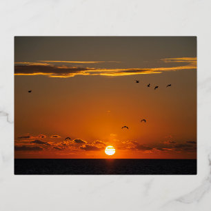 Sunset at Cayeux sur Mer in Frankreich Folien Feiertagspostkarte