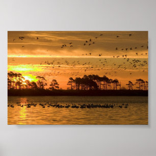 Sunset at Chincoteague Wildlife Refuge Virginia Poster