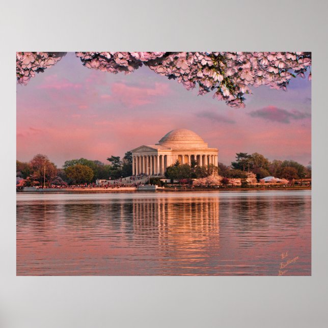 Sunset at Jeferson Memorial with Cherry Blossoms Poster (Vorne)