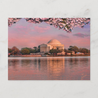 Sunset at Jeferson Memorial with Cherry Blossoms Postkarte