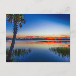 Sunset at Lake Zobel, Fort Pierce, Florida Postkarte