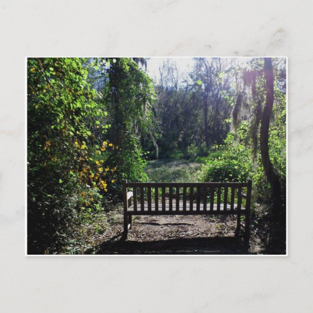 Sunset at Phinizy Swamp Park Augusta, GA Postkarte (Vorderseite)