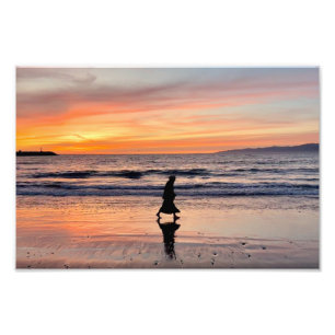 Sunset Beach Walk - Venice Beach, CA Fotodruck