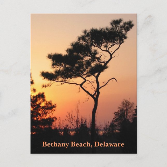 Sunset Bethany Postcard Postkarte (Vorderseite)