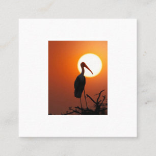 Sunset Bird on Branch - Natuerliche Mauer Quadratische Visitenkarte