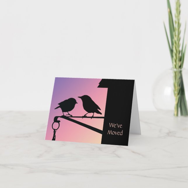 Sunset Birds Änderung der Adresse Ankündigung (Vorderseite)