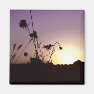 Sunset Blume Magnet
