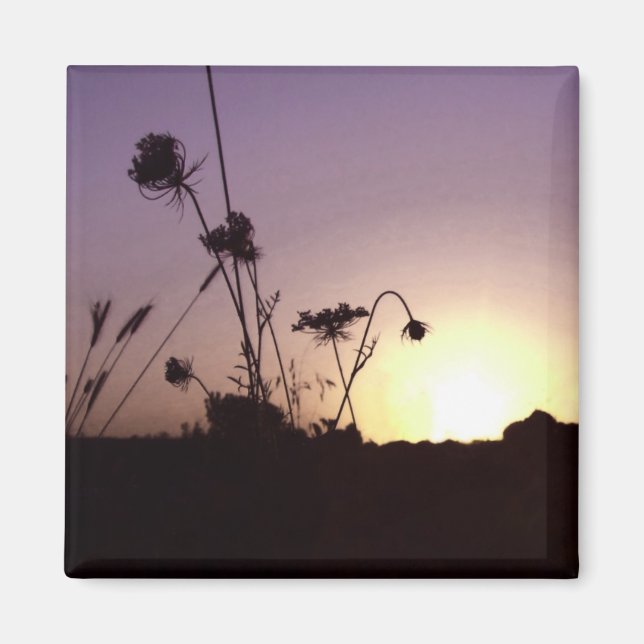 Sunset Blume Magnet (Vorne)