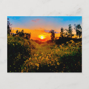 Sunset Burbank, California Yellow Wild Flowers Postkarte