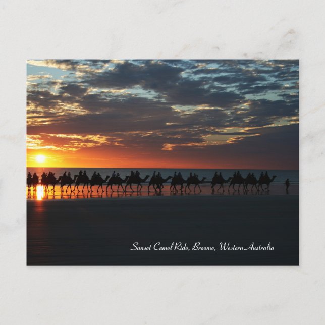 Sunset Camel Ride, Broome, Western Australien Postkarte (Vorderseite)