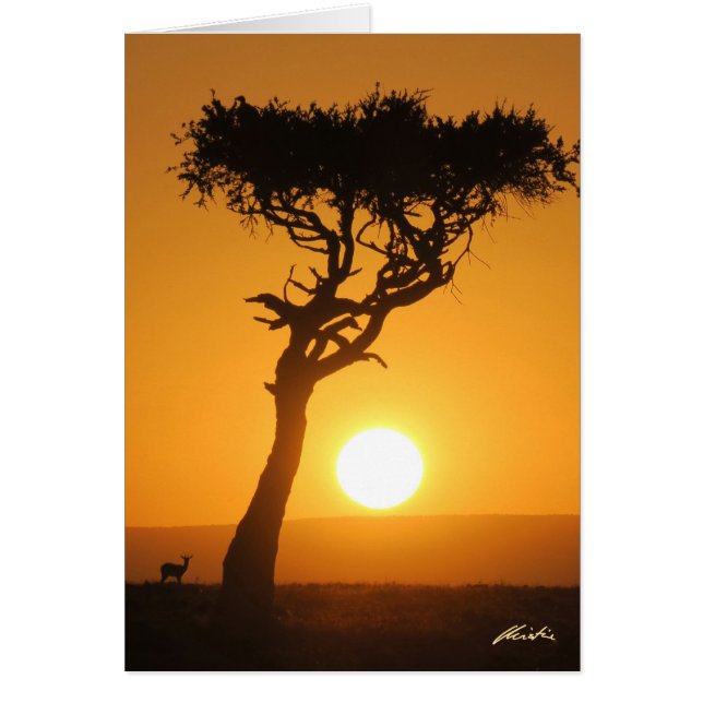 Sunset Card (Vorne)
