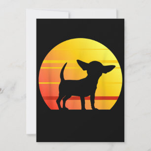 Sunset Chihuahua Ankündigung