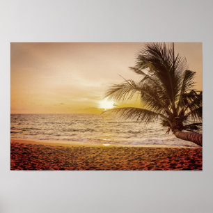 Sunset Coconut Palm on the Beach Poster
