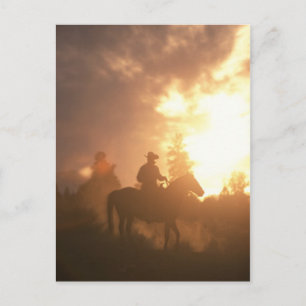 Sunset Cowboy Postkarte