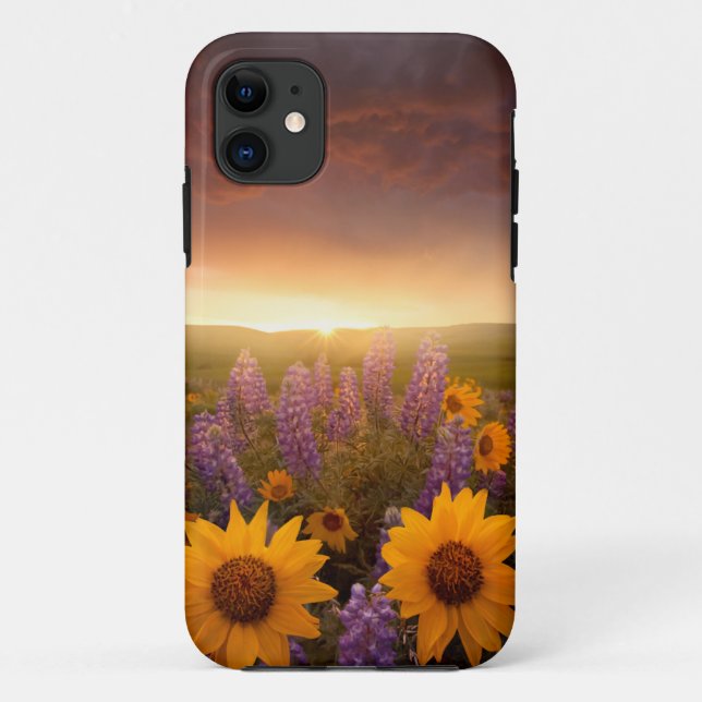 Sunset Daisies Case-Mate iPhone Hülle (Rückseite)