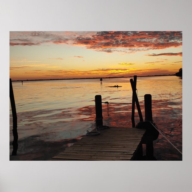 Sunset Delphins Poster (Vorne)