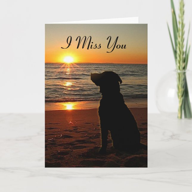 Sunset Dog on Beach - Miss You Card Karte (Vorderseite)