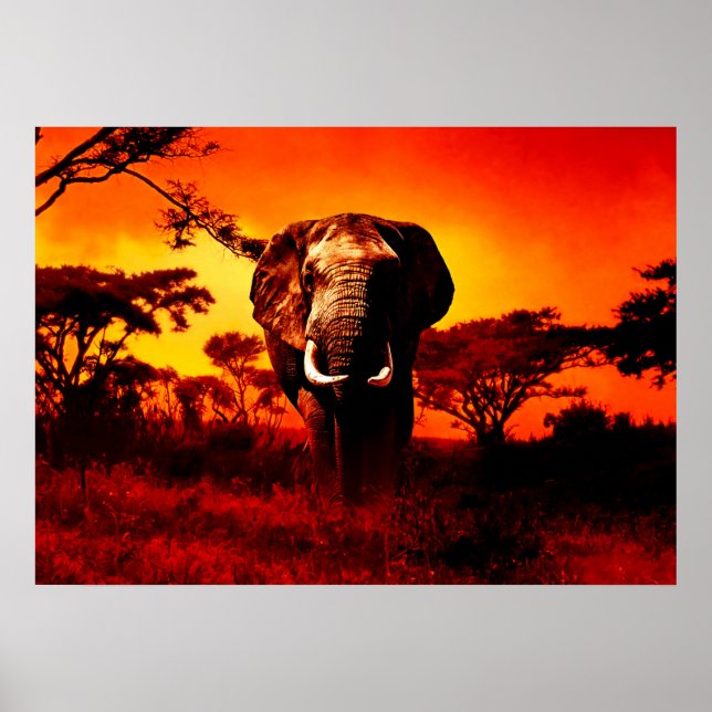 Sunset Elephant Poster (Vorne)