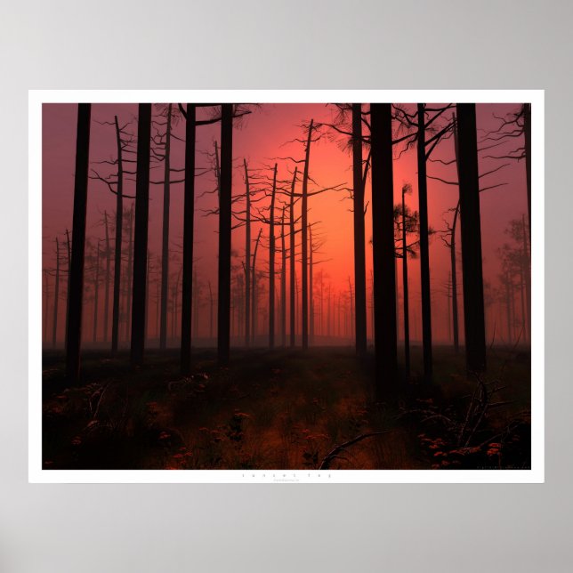 Sunset Fog Poster (Vorne)