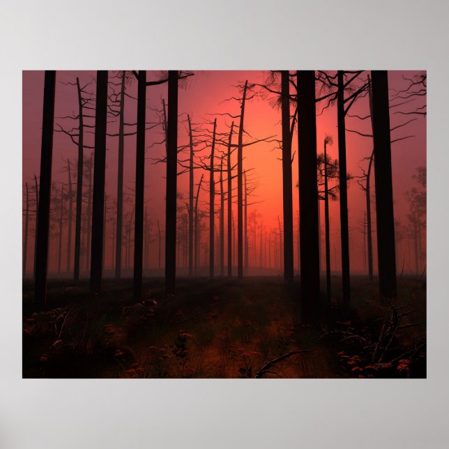 Sunset Fog Poster (Vorne)