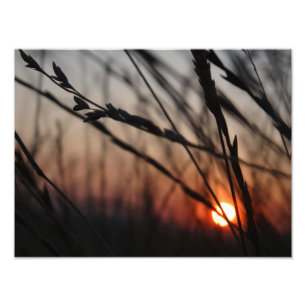 Sunset Foto Kodak Berufliches Foto