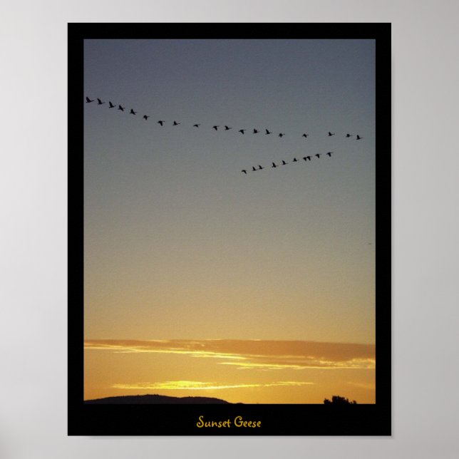 Sunset Ges Poster (Vorne)