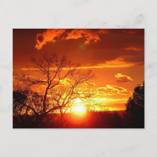 Sunset Glory Postcard Postkarte