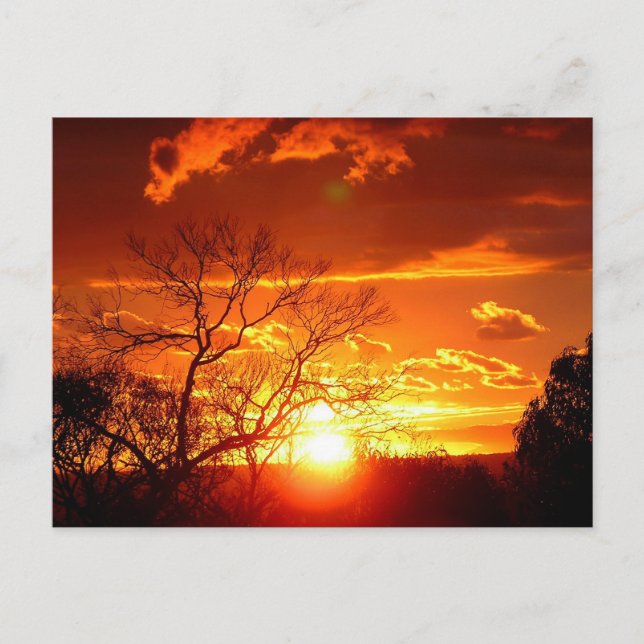 Sunset Glory Postcard Postkarte (Vorderseite)