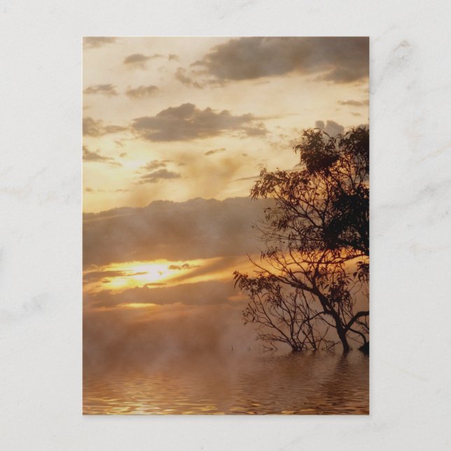 Sunset Glory Postcard Postkarte (Vorderseite)