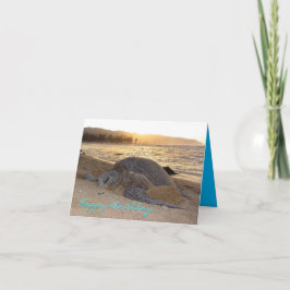 Sunset Green Sea Turtle Geburtstagskarte Dankeskarte