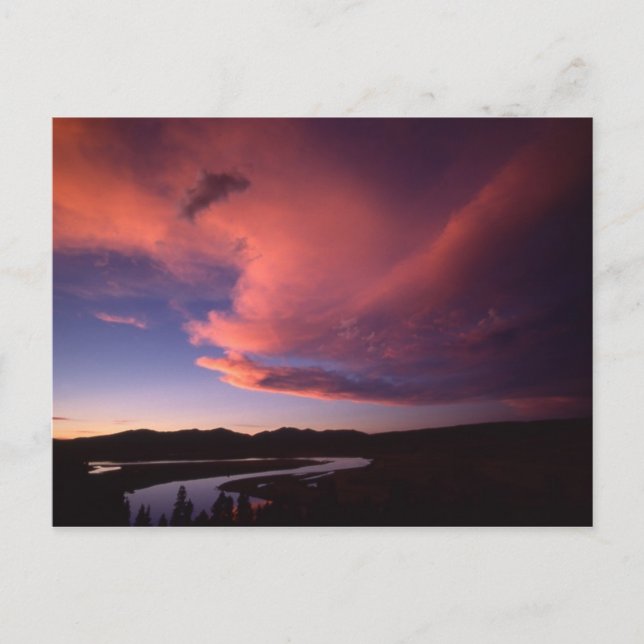 Sunset in Hayden Valley Postcard Postkarte (Vorderseite)