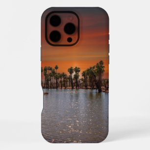 Sunset in Papago Park IPhone Case 16 Pro Max Hülle
