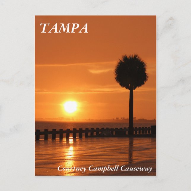 Sunset in Tampa Courtney Campbell Causeway Postkarte (Vorderseite)