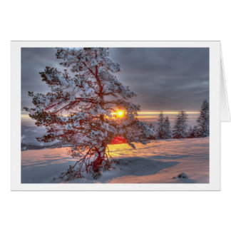 Sunset in the Black Forest