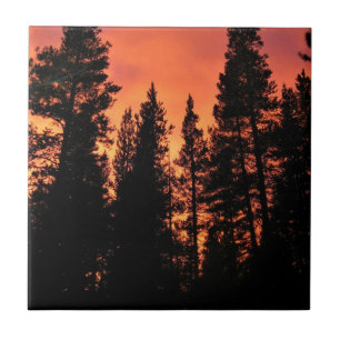 Sunset in Tuolumne Meadows, Yosemite, CA Fliese