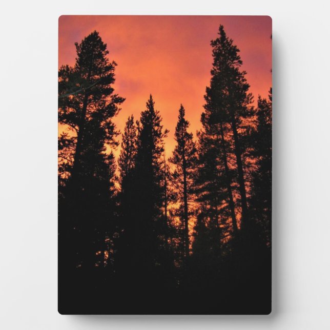 Sunset in Tuolumne Meadows, Yosemite, CA Fotoplatte (Vorderseite)