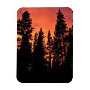 Sunset in Tuolumne Meadows, Yosemite, CA Magnet