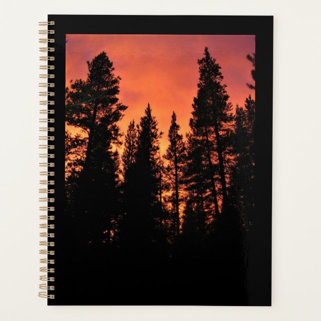 Sunset in Tuolumne Meadows, Yosemite, CA Planer (Vorderseite)