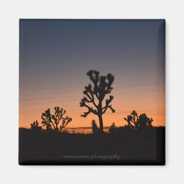 Sunset Joshua Trees Magnet