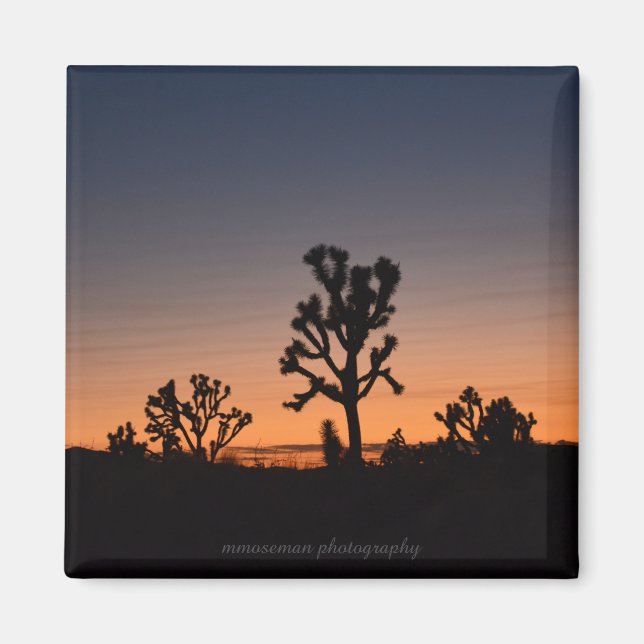 Sunset Joshua Trees Magnet (Vorne)