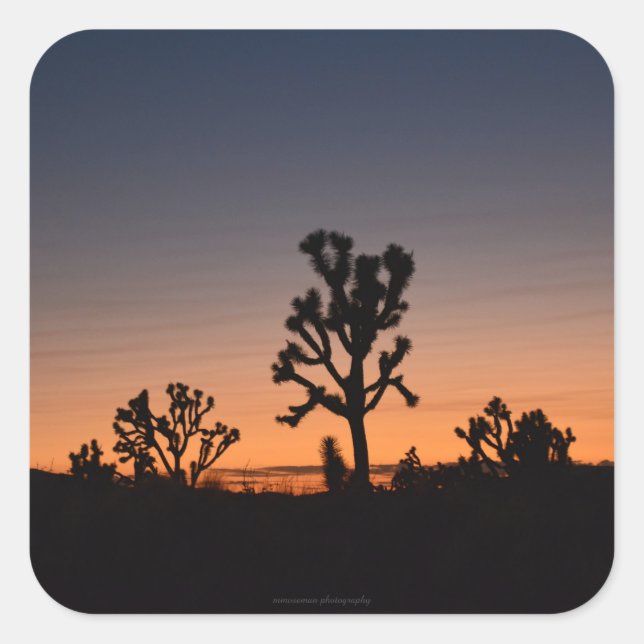 Sunset Joshua Trees Quadratischer Aufkleber (Vorderseite)