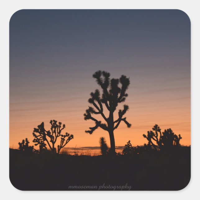 Sunset Joshua Trees Square Sticker (Vorderseite)