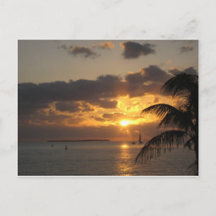 Sunset Key West, Florida Postkarte