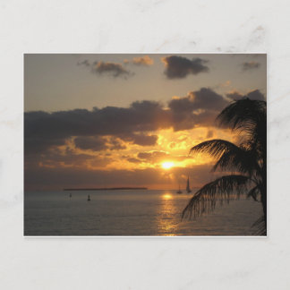 Sunset Key West, Florida Postkarte