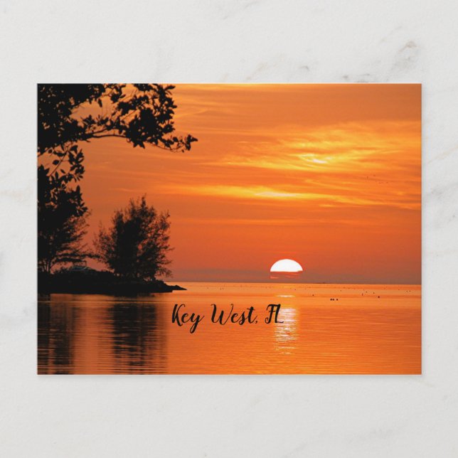Sunset, Key West, Florida Postkarte (Vorderseite)