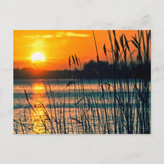Sunset Lake Postcard Postkarte