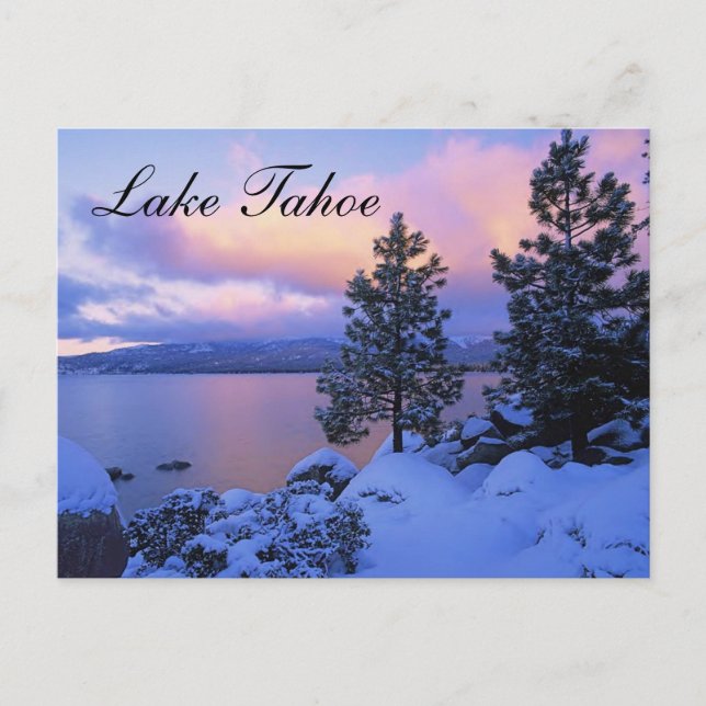 Sunset Lake Tahoe Nevada Postcard Postkarte (Vorderseite)